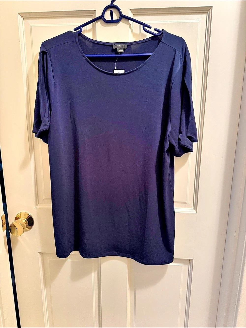 Ann Taylor Short Sleeve Top in Blue Size XL NWT